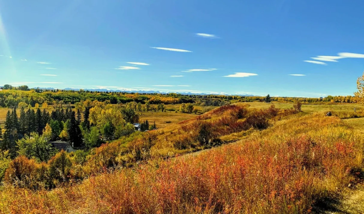 Buying in Parkland, Calgary: What to Know Before You Make an Offer