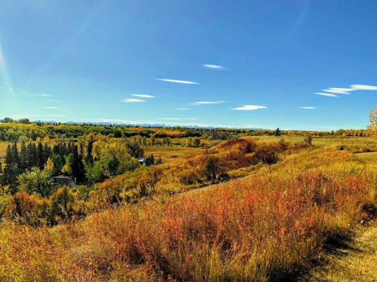 buying a home in Parkland Calgary — established south Calgary real estate guide by Cole Porter