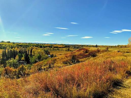 Buying in Parkland Calgary: Why the Same Floor Plan Can Differ by $300,000