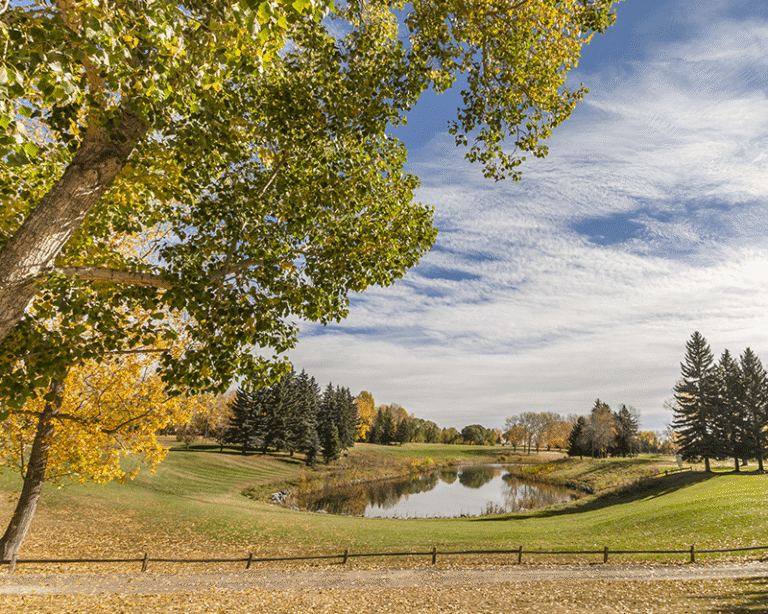 Willow Park Calgary real estate — established south Calgary real estate guide by Cole Porter
