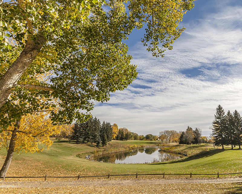 Willow Park Calgary Real Estate: A Buyer’s Guide to Homes, Lots and Renovations